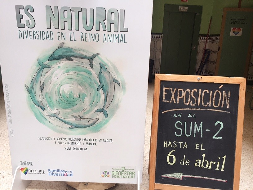 Diversidad en el Mundo Animal