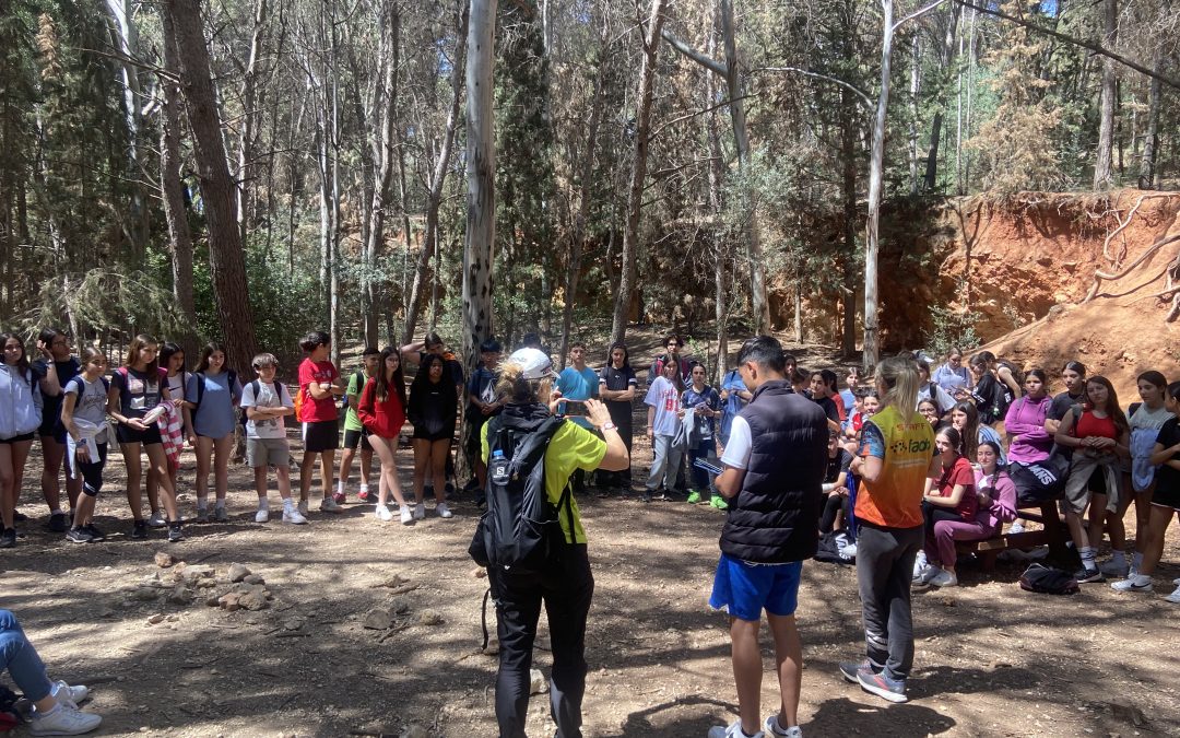 Parque El Morlaco 2024