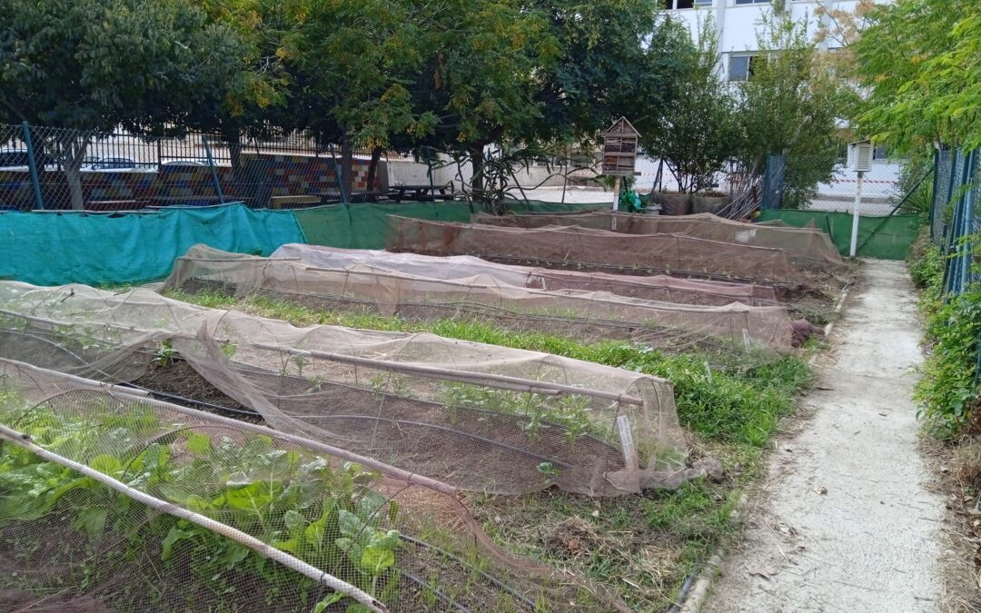 Proyecto Huerto Escolar 2025
